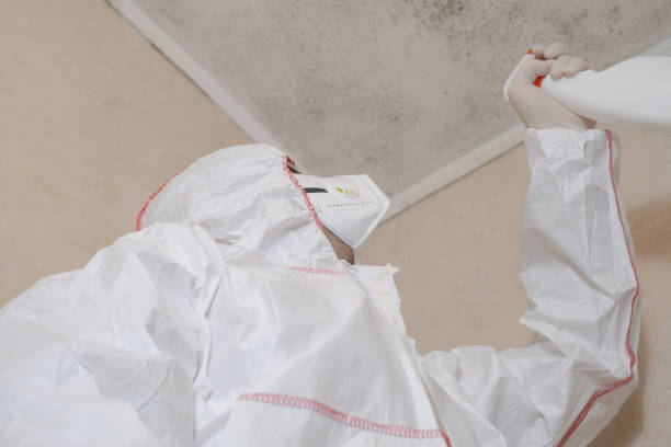 Best Crawl Space Mold Removal  in West Loch Estate, HI